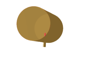 Coax circular waveguide transition